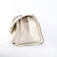 Chanel Seasonal Flap Ivory - Series 14 Hot on Sale